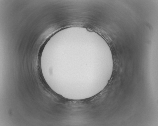 X0000115810338200912111234