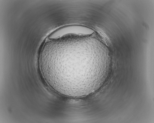 X0000115810346200912111235