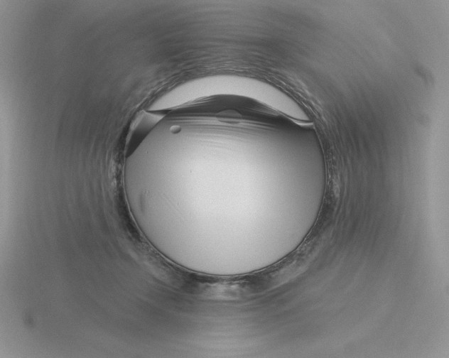 X0000115810366200912111235
