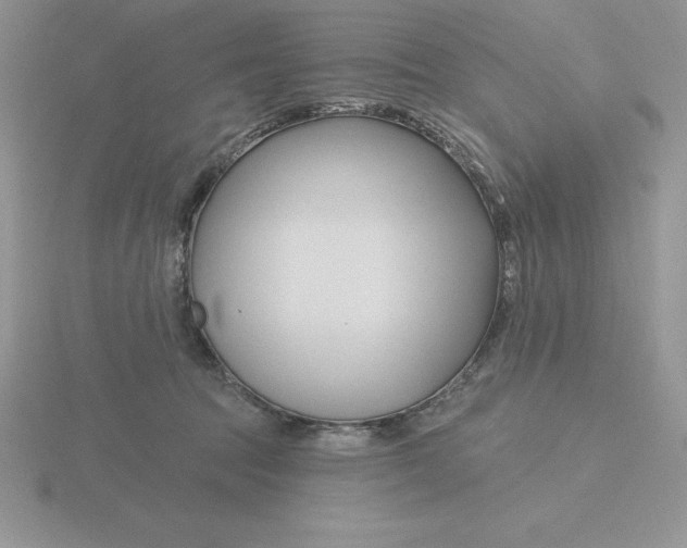 X0000115810369200912111235