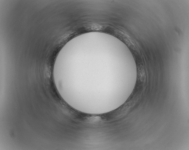 X0000115810374200912111235