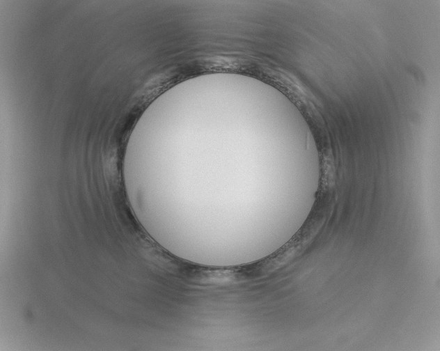 X0000115810377200912111235