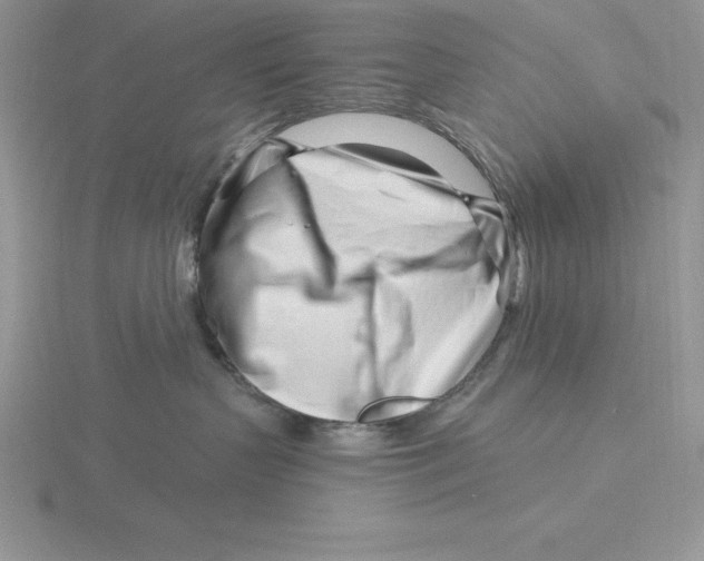 X0000115810383200912111235