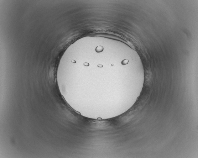 X0000115810428200912111234
