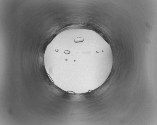 X0000115810432200912111234