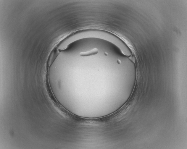 X0000115810437200912111233