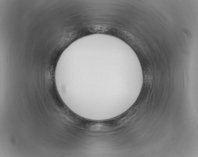 X0000115810460200912111234