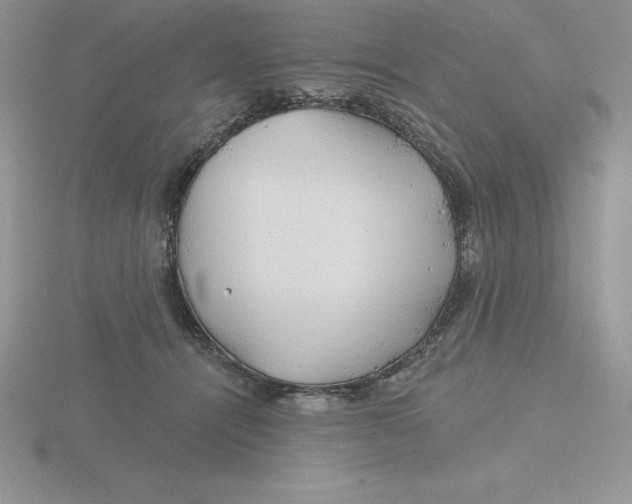 X0000115810464200912111234