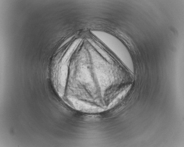 X0000115810465200912111234