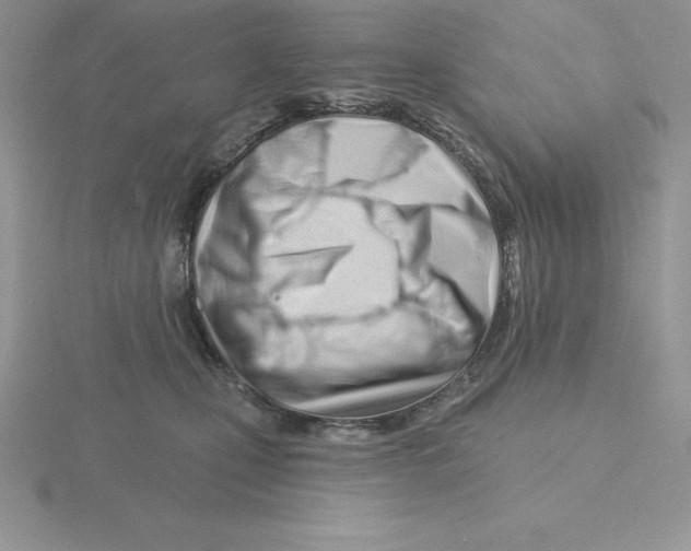 X0000115810471200912111234