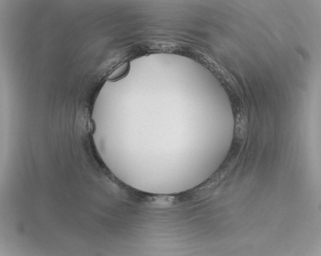 X0000115810474200912111234