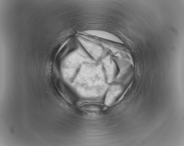 X0000115810475200912111234