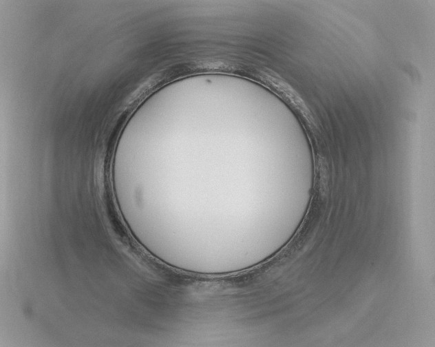 X0000115810482200912111233