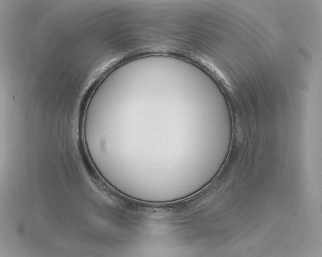 X0000115810486200912111233