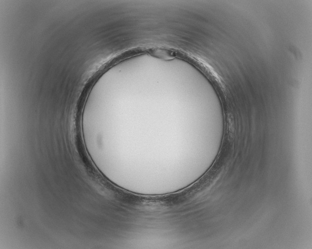 X0000115810487200912111233