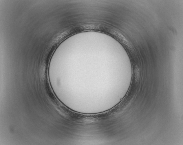 X0000115810490200912111233