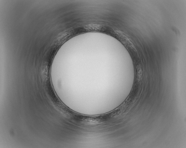 X0000115810498200912111233
