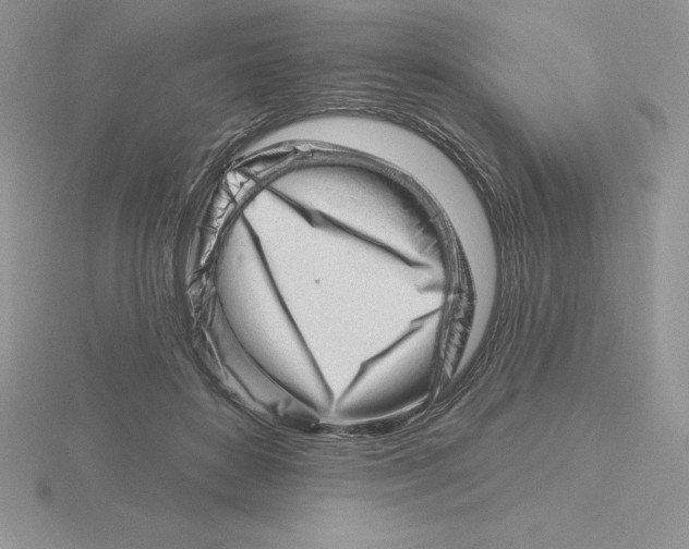 X0000115810504200912111233