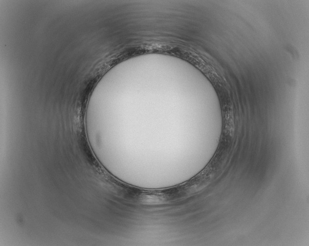 X0000115810510200912111233