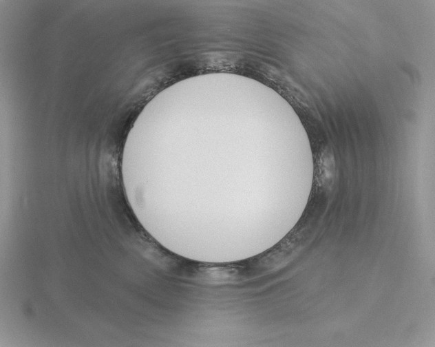 X0000115810522200912111233