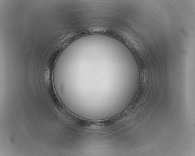 X0000115810550200912111232
