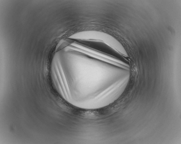 X0000115810566200912111232