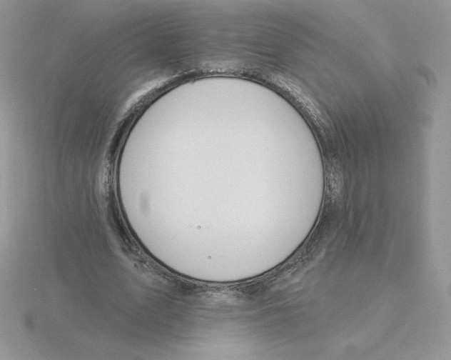 X0000115810583200912111232