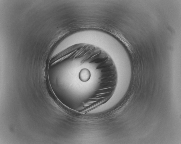 X0000115810585200912111232
