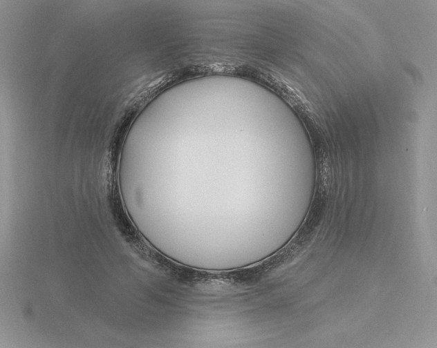 X0000115810594200912111232