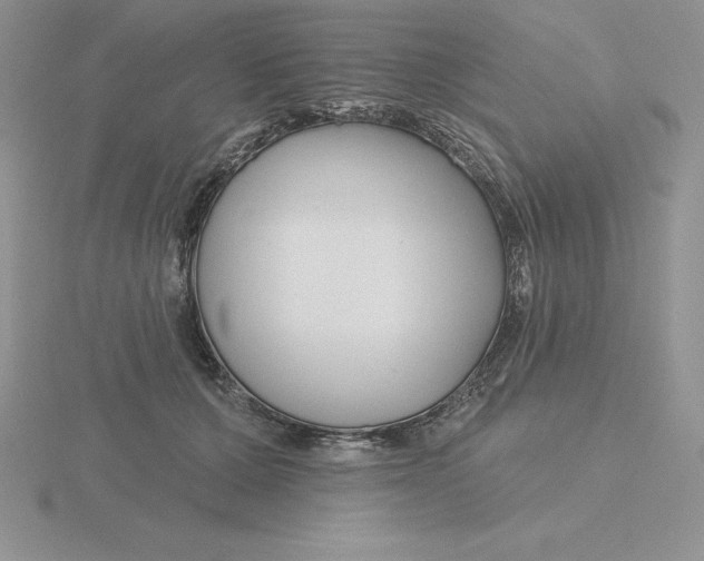 X0000115810607200912111231