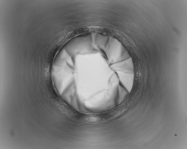 X0000115810610200912111231