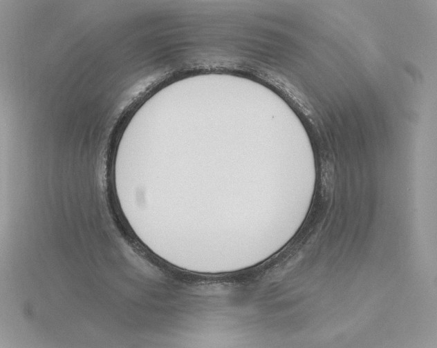 X0000115810629200912111231