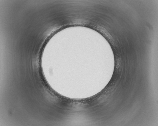 X0000115810632200912111231
