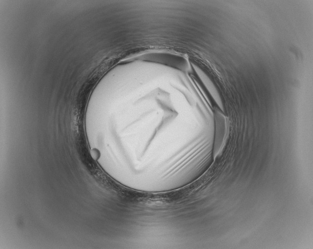 X0000115810643200912111231