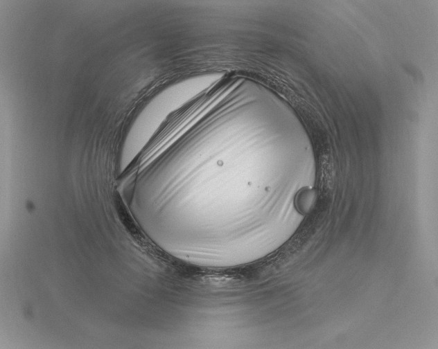 X0000115810650200912111231