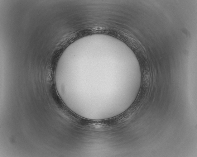 X0000115810654200912111231