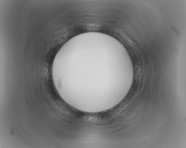 X0000115810655200912111231
