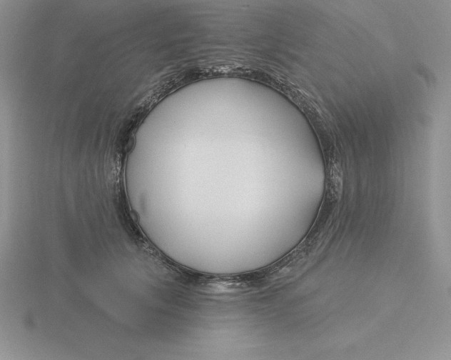 X0000115810657200912111231