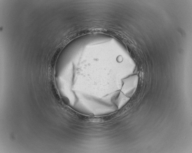 X0000115810659200912111231