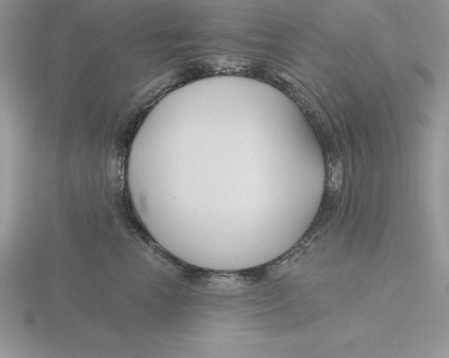 X0000115810666200912111231