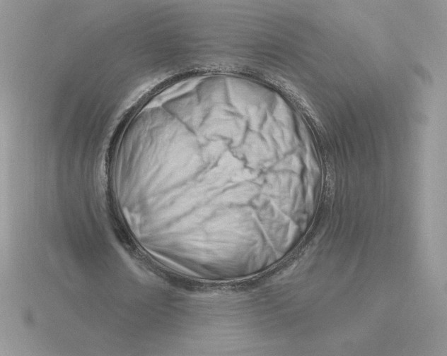 X0000115810674200912111231