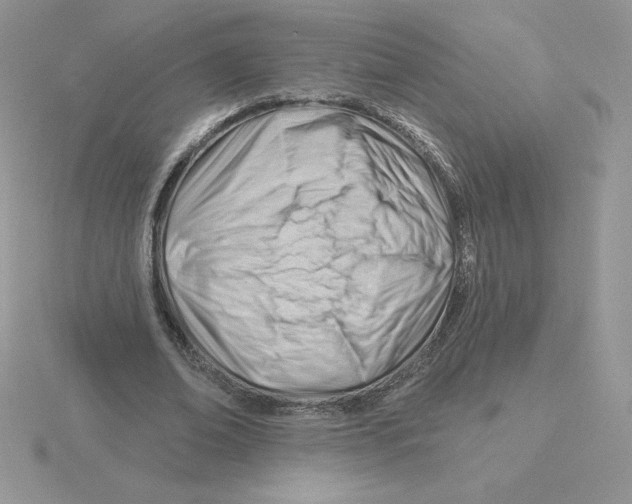 X0000115810678200912111231