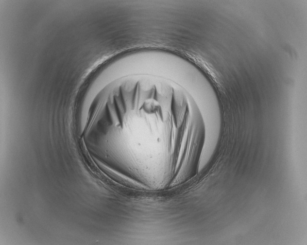 X0000115810684200912111230