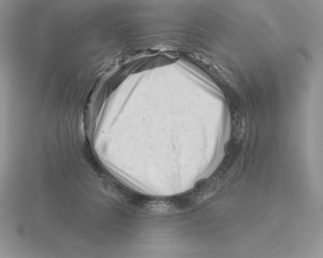 X0000115810704200912111230