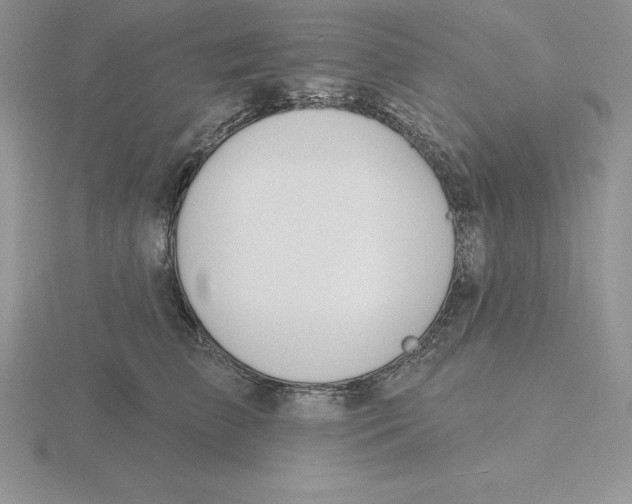X0000115810709200912111230