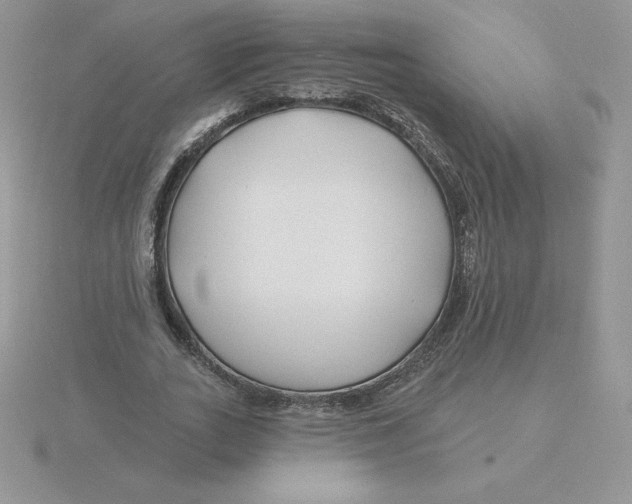 X0000115810727200912111229