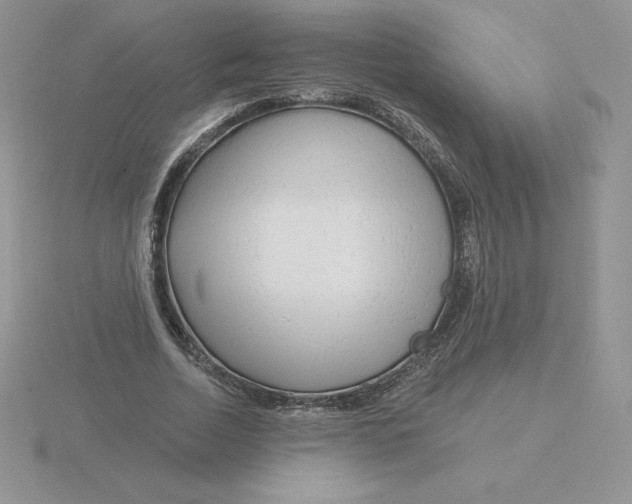 X0000115810730200912111229