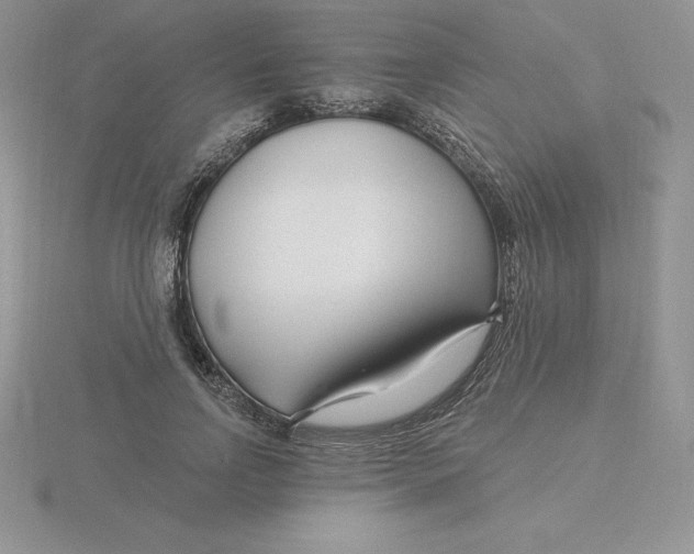 X0000115810742200912111230