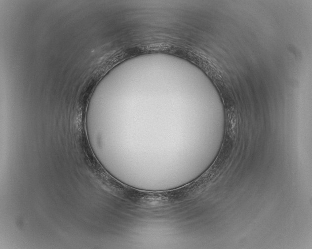 X0000115810745200912111230