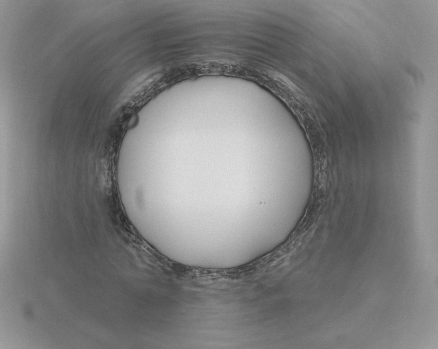 X0000115810774200912111229